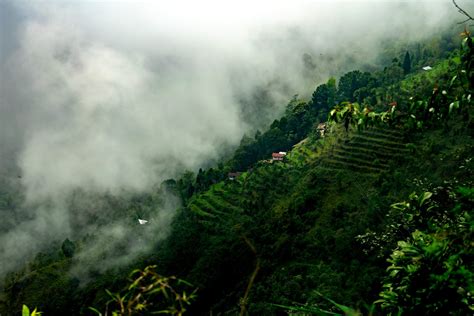 12 Places to Visit in Darjeeling to Explore the Himalayas | Veena World