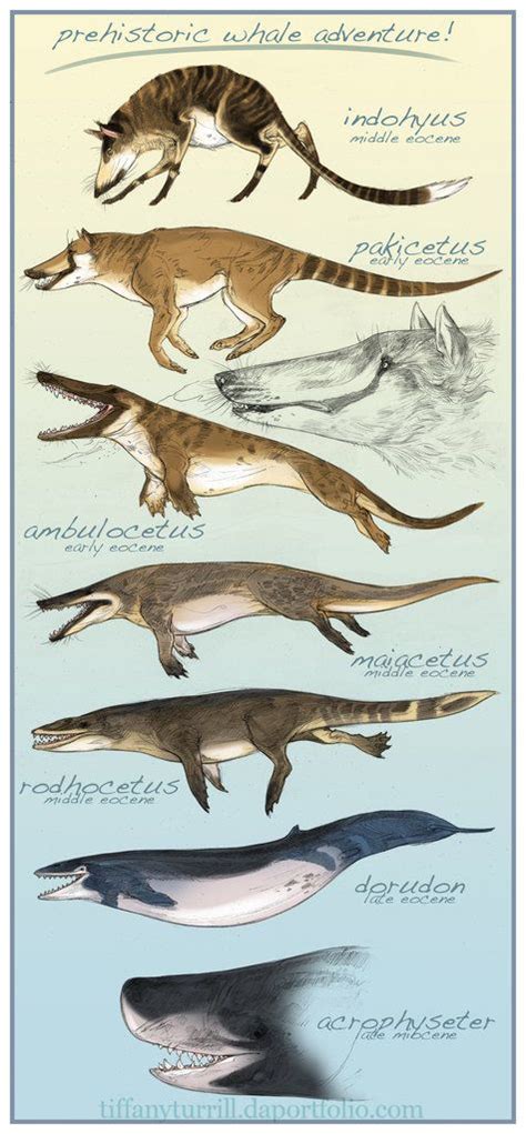 Tiffany Turrill: Illustration and Concept Art | Creatures | Prehistoric ...