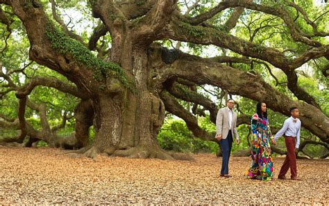 A Southern Family Session at the Angel Oak Tree – CreativeSoul Photography