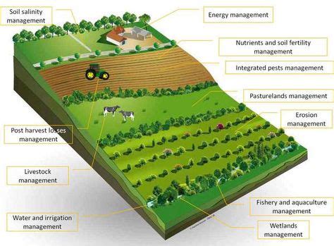 Sustainable Agriculture: Mixed cropping, Crop rotation, Mixed Farming