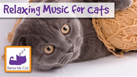 30 Minutes of Cat Music - Music for Cats - YouTube