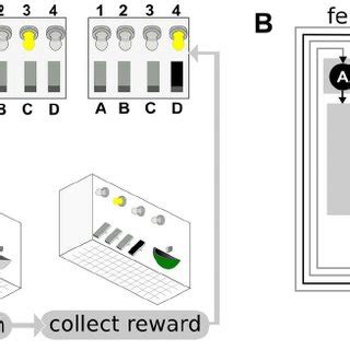 A. Concept of the ‘‘Skinner box’’. A caged animal must learn to... | Download Scientific Diagram