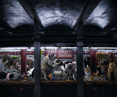 ArtStation - Animal PENN Station