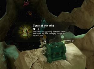 How To Upgrade Tunic Of The Wild In TotK? - The Nature Hero