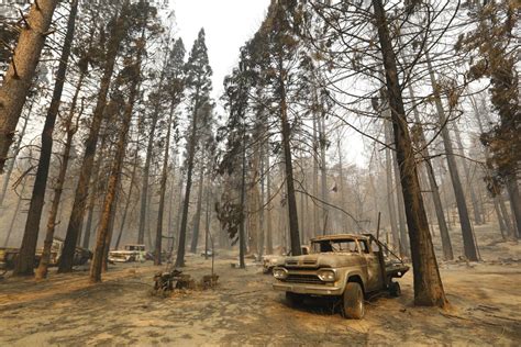 Changes from wildfires in California forests will last centuries - Los ...