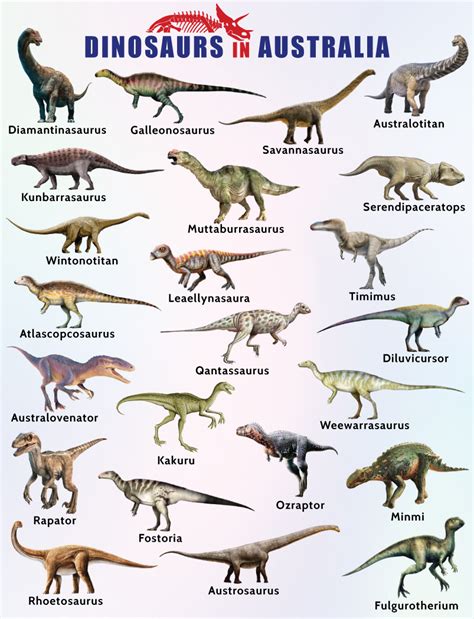 List of Dinosaurs in Australia - Facts with Pictures