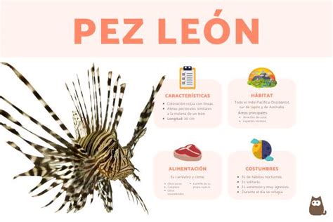 Pez león (Pterois antennata) - Características, alimentación e ...