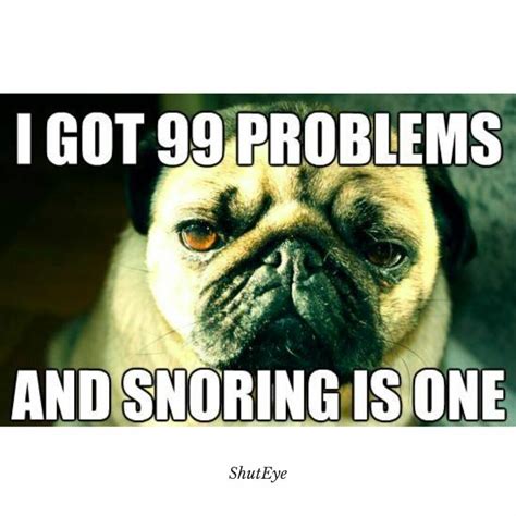 Best Snoring Memes of 2023 - ShutEye