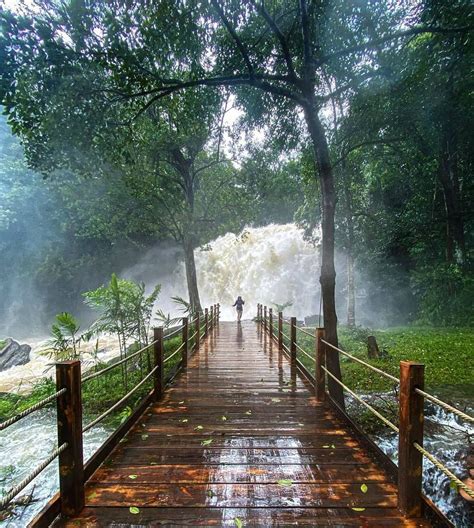 Coorg Hill Station In Karnataka | Places to go, Best places to travel ...