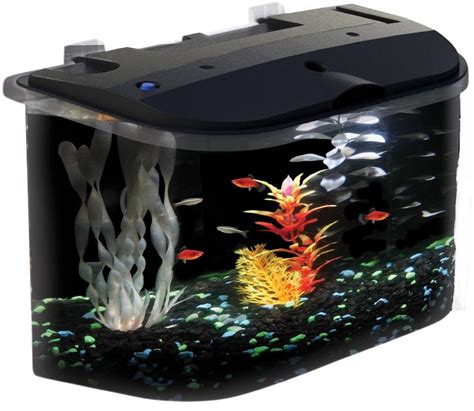 Best Aquarium Starter Kit | Aquarium Starter Kits