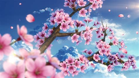 HD wallpaper: cherry blossom, scenic, petals, sky, sakura, Anime, plant ...