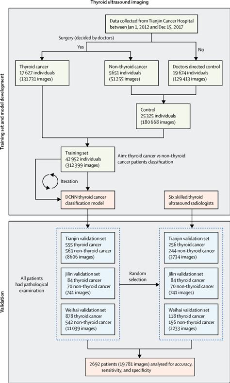 Diagnosis of thyroid cancer using deep convolutional neural network models applied to ...