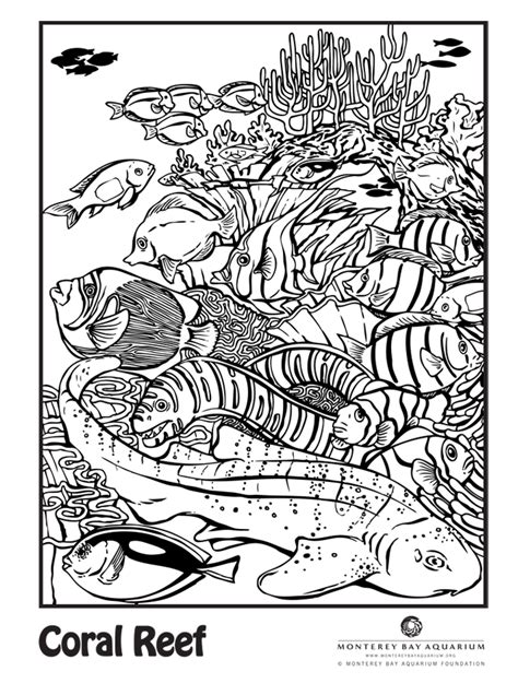 Coral Reef Coloring Pages For Kids - Coloring Home