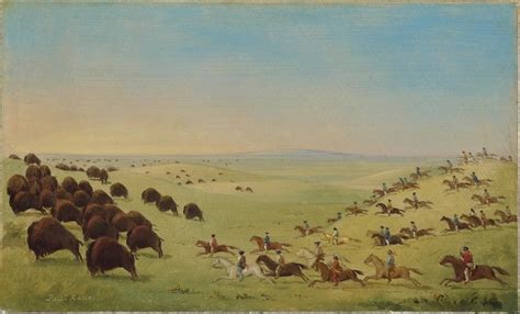 Buffalo Herd Painting at PaintingValley.com | Explore collection of ...