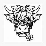 Highland Cow Coloring Pages  Coloring Home sketch template