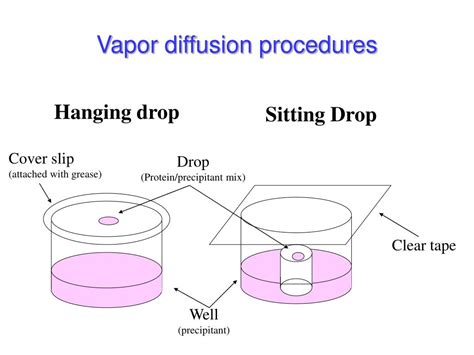 PPT - Protein Purification & Crystallization PowerPoint Presentation ...