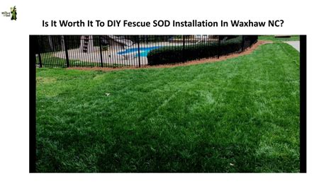 PPT - Is It Worth It To DIY Fescue SOD Installation In Waxhaw NC ...