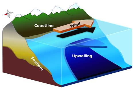 9.5 Currents, Upwelling and Downwelling – Introduction to Oceanography