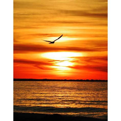 Lewes beach, Delaware. Beautiful Sunset | Sunset, Lewes beach ...