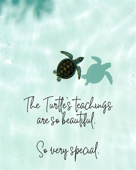 101+ Turtle Quotes For Sea & Land - Darling Quote | Turtle quotes ...