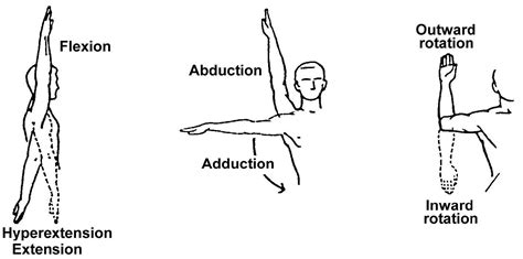 2.06 Range of Motion | Basic Patient Care Procedures