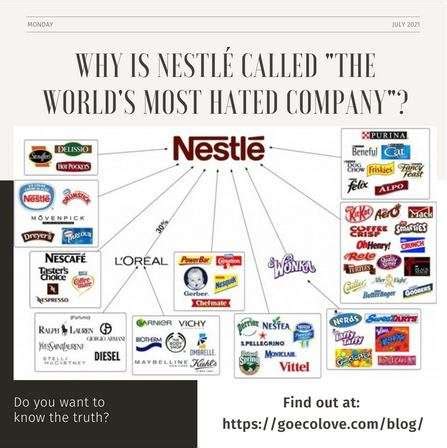 Why is Nestlé called "the world's most disliked company"? - Go Eco Love