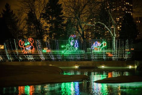 ZooLights at Lincoln Park Zoo returns for the holidays in ticketed ...