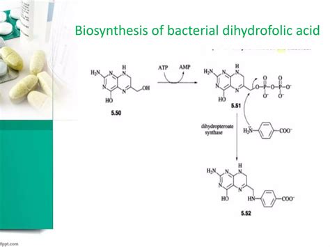 Sulfa drugs and mechanism of action | PPT