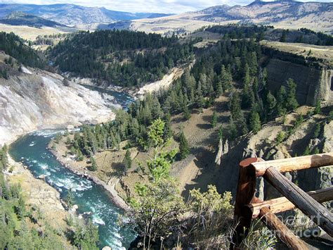 Yellowstone River Canyon - 2 Photograph by Charles Robinson - Fine Art America