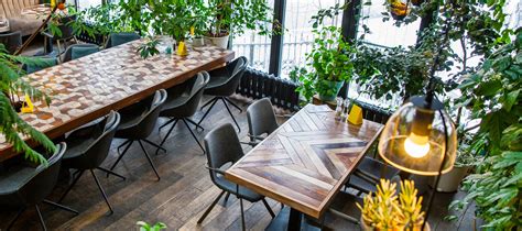 Trending Plants For Cafe & Restaurant Interiors - Hortology