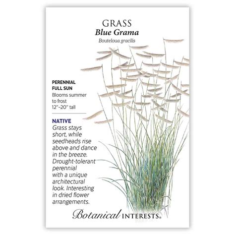 Blue Grama Grass Seeds – Botanical Interests