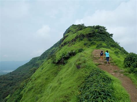 Tikona Fort – A Day’s Trek - Tripoto