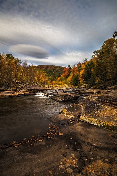 Dolly Sods Wilderness Fall Colors - Etsy