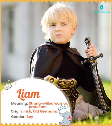 Liam Name Meaning, Origin, History, And Popularity