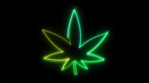 neon marijuana cannabis leaf against black Stock Footage Video (100% ...