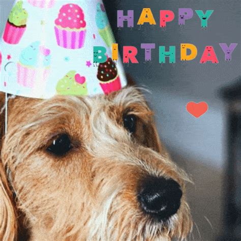 Animated Happy Birthday Dog Gif