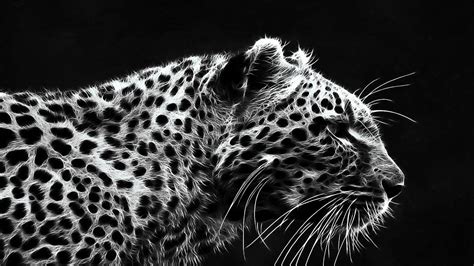 Black Jaguar Wallpapers Group (73+)