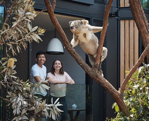 Weddings at Taronga Zoo | Taronga Conservation Society Australia