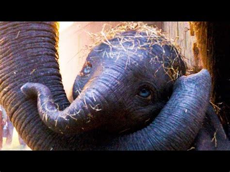 DUMBO "Baby Elephant" Clip - YouTube