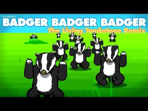 Badger Badger Badger | Know Your Meme