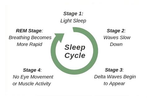 Sleep Cycle - Emedicodiary