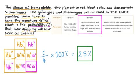 Sickle Cell Anemia Punnett Square