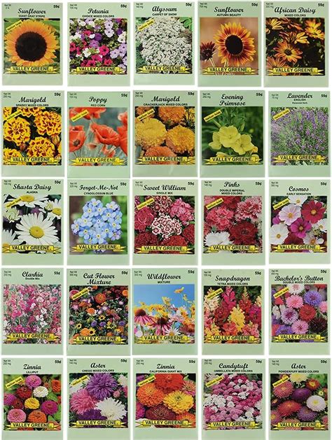 Amazon.com : 25 Flower Seed Packets Including 10+ Varieties - May ...