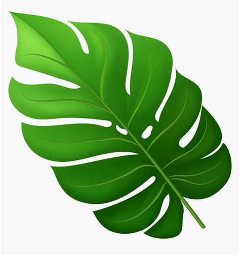 Leaf clipart, Clip art, Tropical leaves