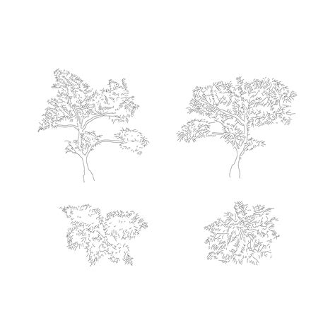 Japanese Plants and Trees DWG CAD Blocks in Plan and Elevation (25+ Pi – Cadnature