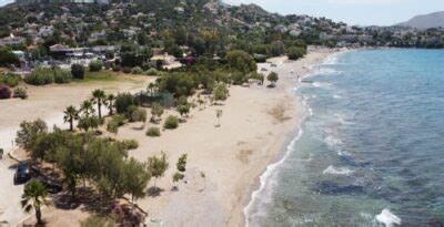 A deserted and wooded beach in Attica