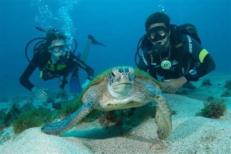 Travel to Fernando de Noronha - Matueté