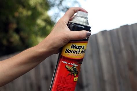 Homemade Wasp Spray | Hunker