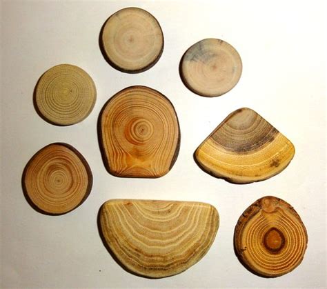 Jewelry making supplies findings. Natural wood for pendant… | Flickr