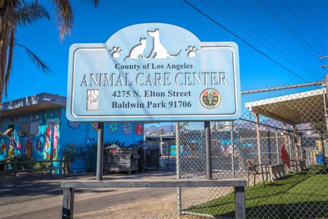 24 Hour Animal Shelter Los Angeles